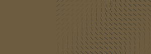 Harakeke Pendulum Variable_Banner-1